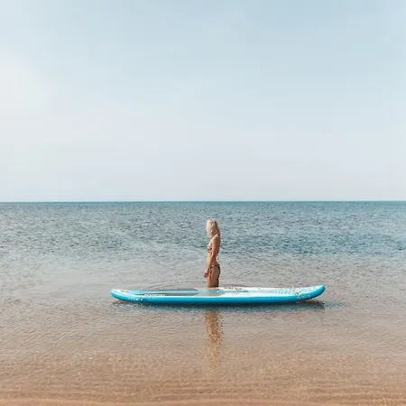 Dolphin With Sea View